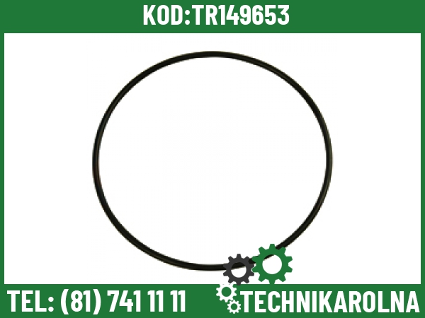 406864A1 O-ring 