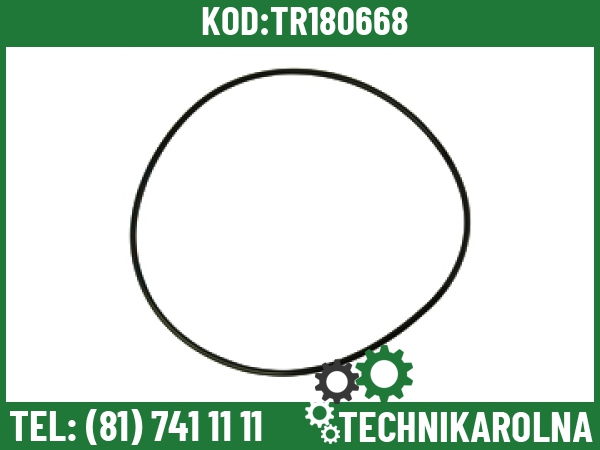 3057615R1 O-ring tłoka podnośnika 