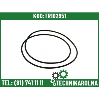 O-ring hamulca specjalny 279x3.53mm 2.1539.179.0