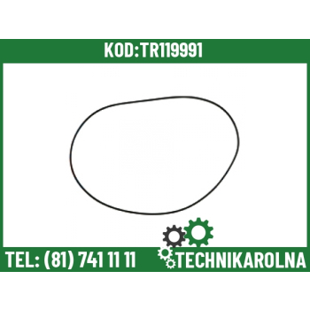 Uszczelka 3,4x306,6mm 4993839 5169562 5105540