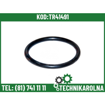 O-ring 18x2 mm 01169763