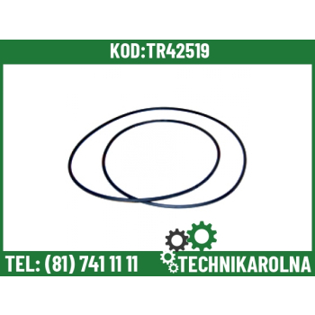 O-ring hamulca 1610179M5