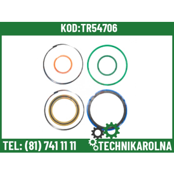 Zestaw uszczelek 60x110 991/00110