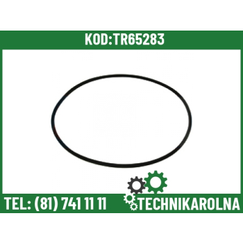 Oring uszczelniajacy tulej silnika 2.1539.193.0