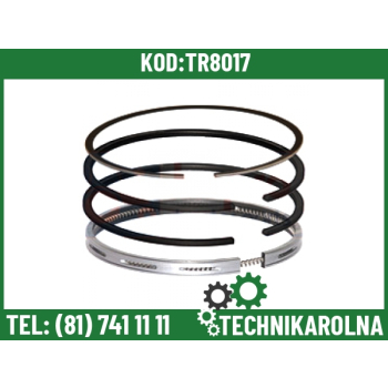 Pierścienie tłokowe fi 102mm 02235561