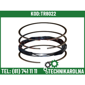 Pierścienie tłokowe fi 102mm 02235236