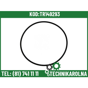 O-ring 401066A1