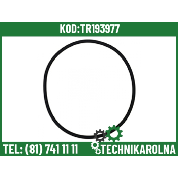 O-ring hamulca 3,86x241.9mm 9823348 87084s95