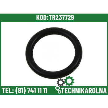 O-ring wtryskiwacza 3,53x20,2mm R505452