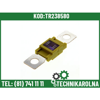 Bezpiecznik 100A - żółty - MEGAVAL 0.010.3658.0