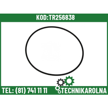 O-ring 4289992M1