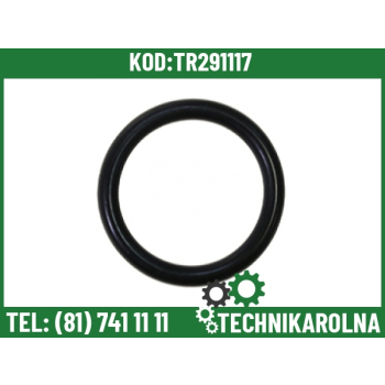 O-ring 23,4 x 3,53 mm 359299X1