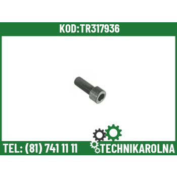 Śruba przekładni imbus 18x2/45mm 0002389041