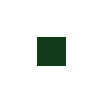 Lakier farba Bergmann zielony ( nowszy )