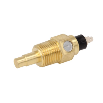 Czujnik temperatury 2 piny 0006575670