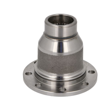 Flansza tylnego mostu 10043312