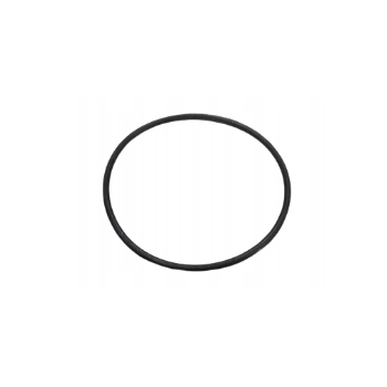 O-RING 14460180 86012299