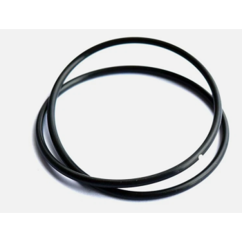 O-ring 14461580