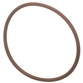 O-ring 14465181