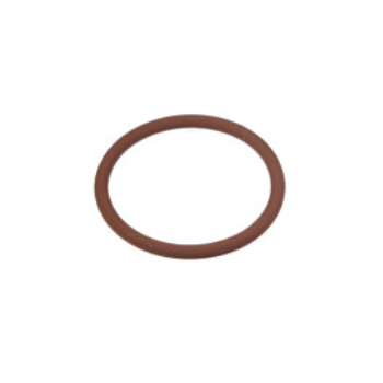 O-ring 17282581
