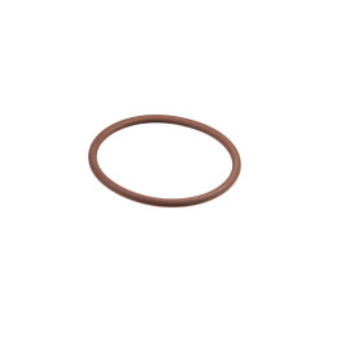 O-ring 17283381