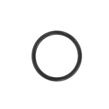 Oring 16,1x1,6 mm 1889914M1