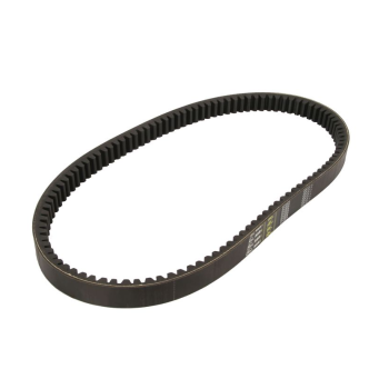 Pas wariatorowy 58x25x2551 mm 189662C2 244422A4