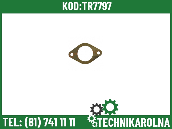 T20215 Uszczelka termostatu